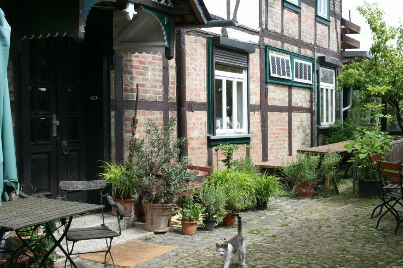 Apartments Cafe Brennnessel Veltheim Exterior foto